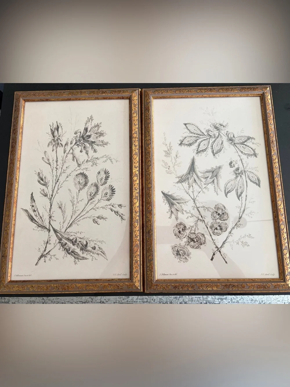 Petal Lane Framed Botanical Wall Art Pair in Gold and Black